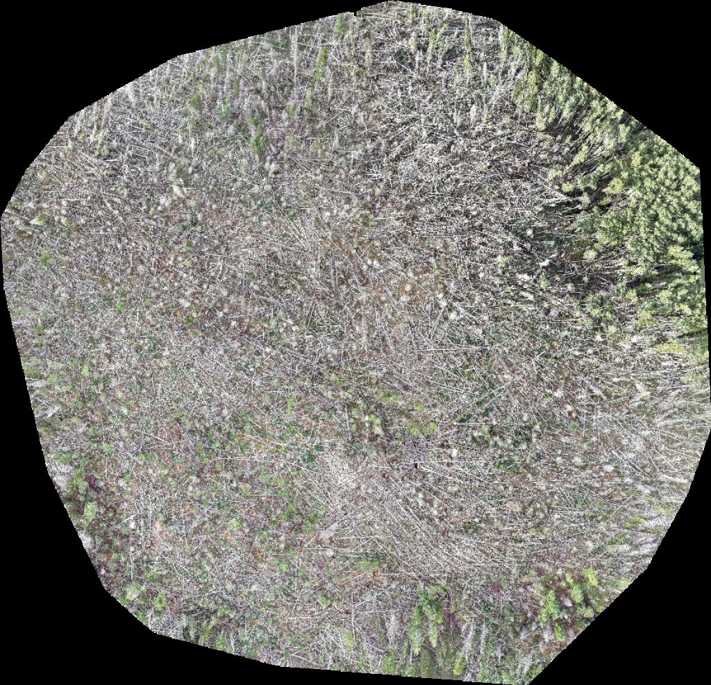 Taylor Ridge Ranch and RV Park Geyser Pass Yurt