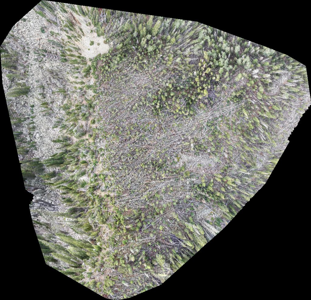 Taylor Ridge Ranch and RV Park Geyser Pass Yurt