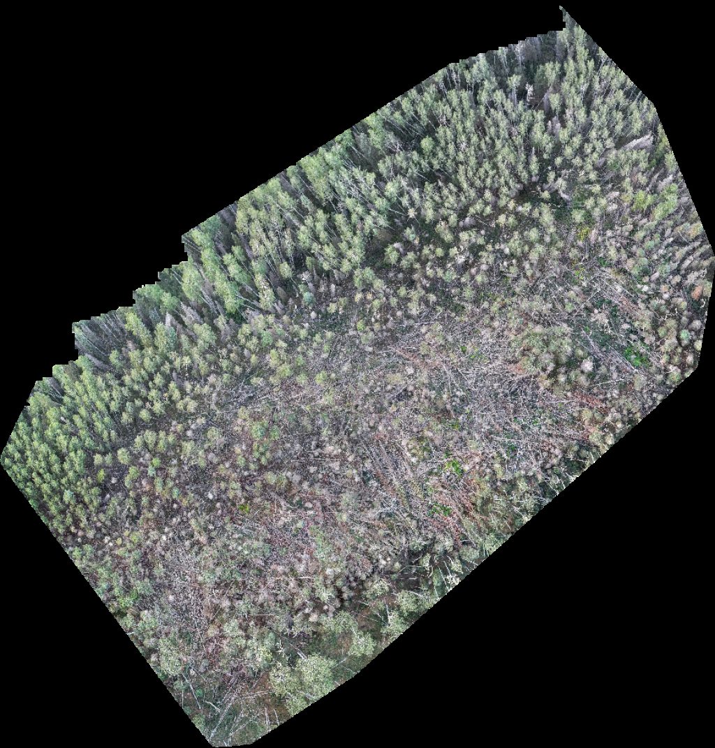 Taylor Ridge Ranch and RV Park Geyser Pass Yurt