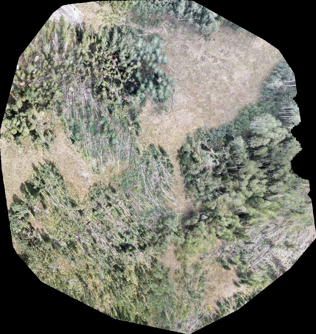 Warner Lake Geyser Pass Yurt