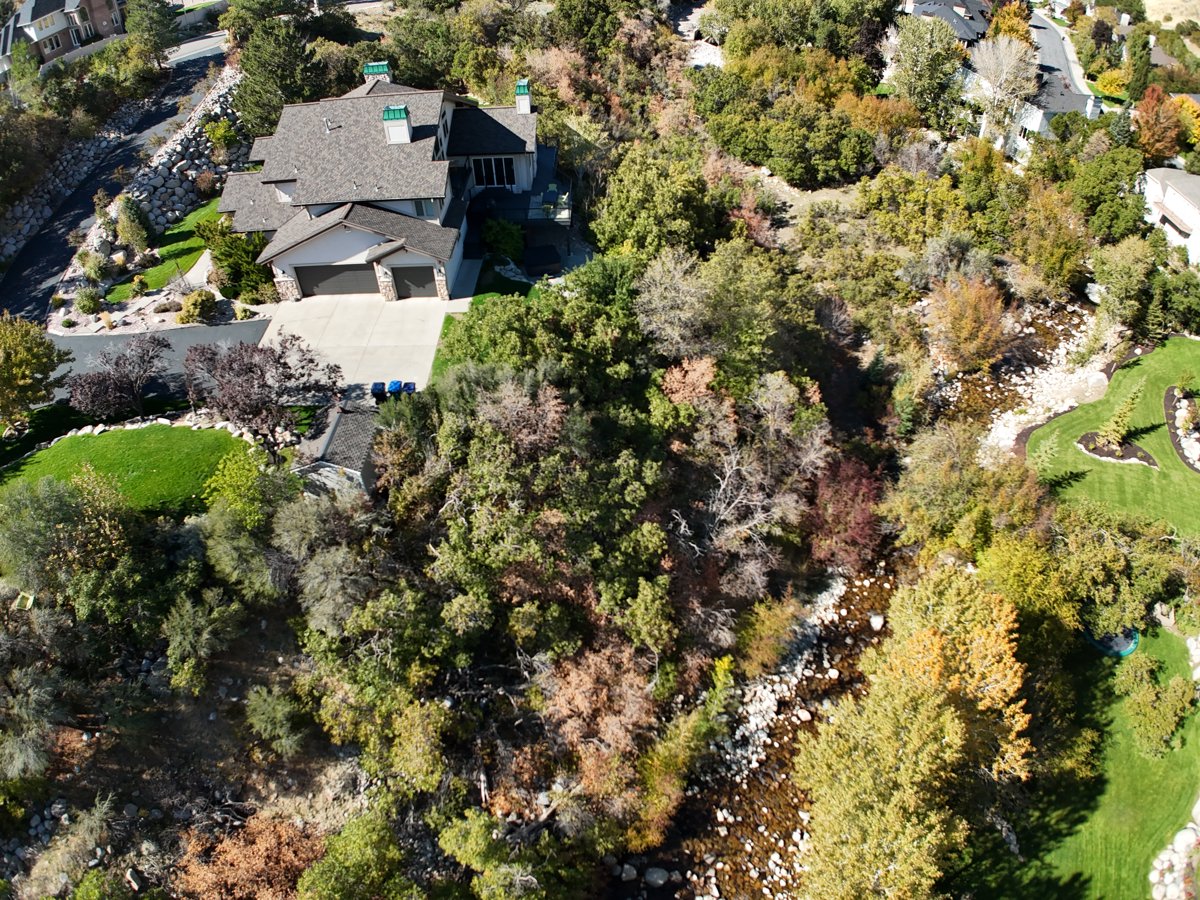 Holistic School Quail Hollow Park