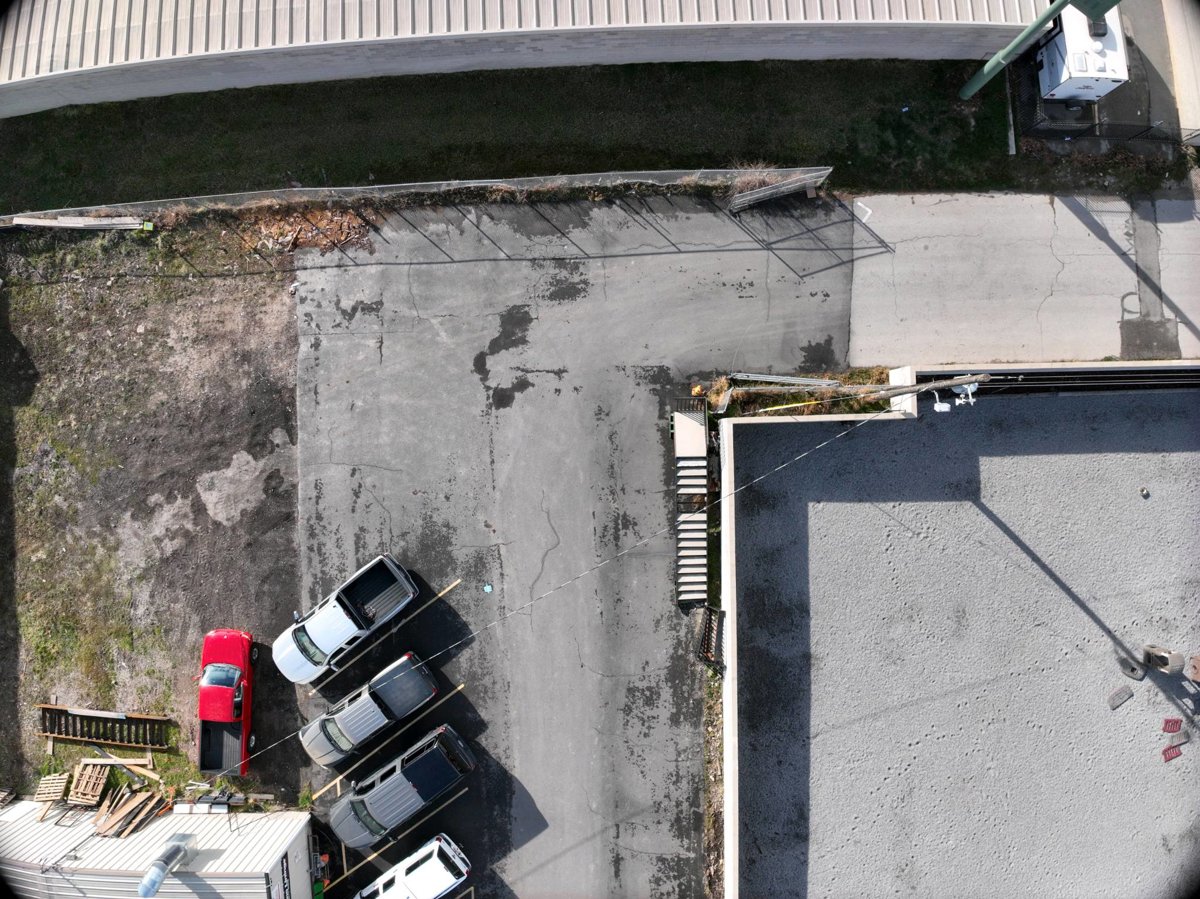 Rhino Linings Terry s Tops murder of crows tattoo