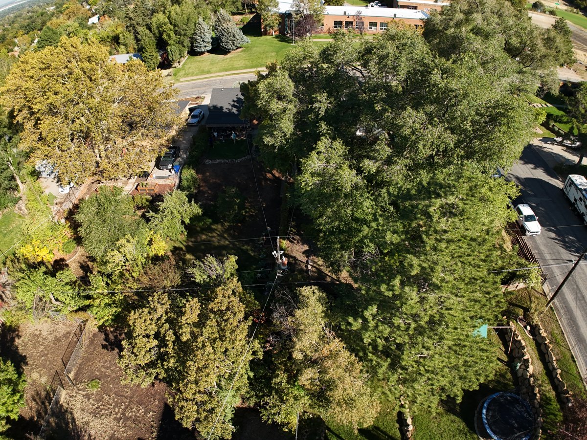 Saint Joseph Catholic High School Sun Eagle Art