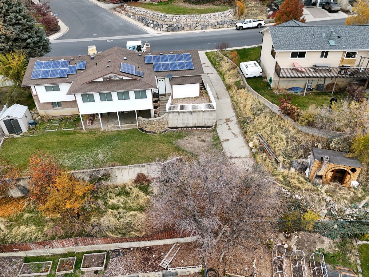 Mosique Artisan Tile Family Tree Services LLC