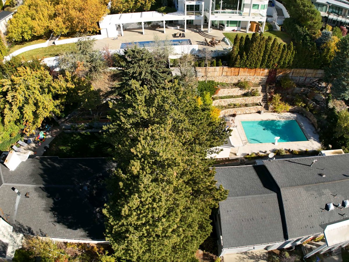 Ward Ronald w MD Hake Brooks Sara J