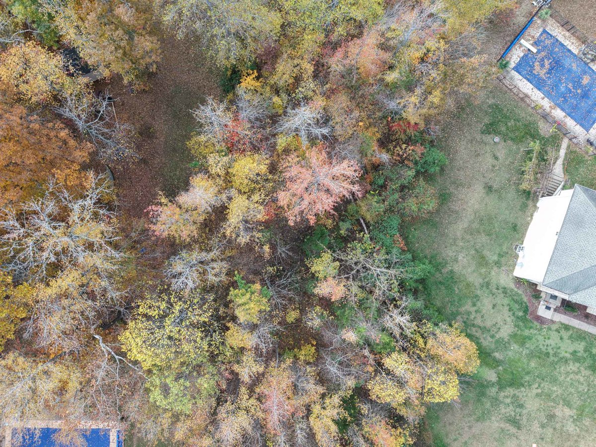 New Nielsenland The Sandbar