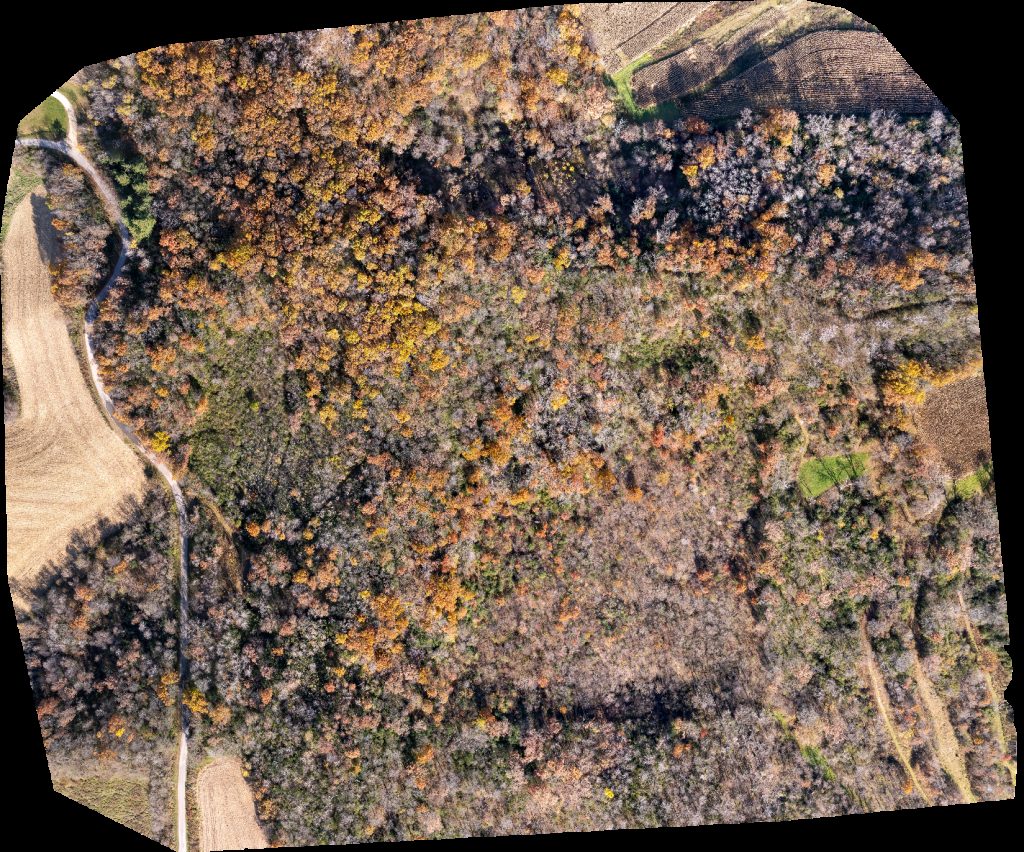 Iglesia Pentecostes Liro De Los Valles Church of God pentecost M i Lily the valley