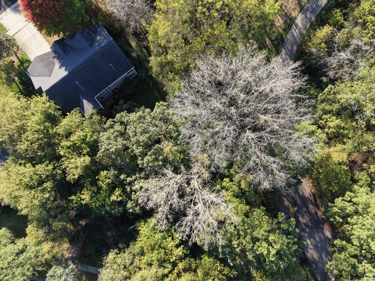 Awooncare Home Health Geri Gene Medical Corporation