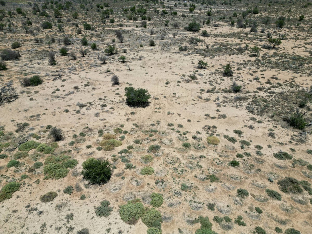 TotalEnergies Mountain