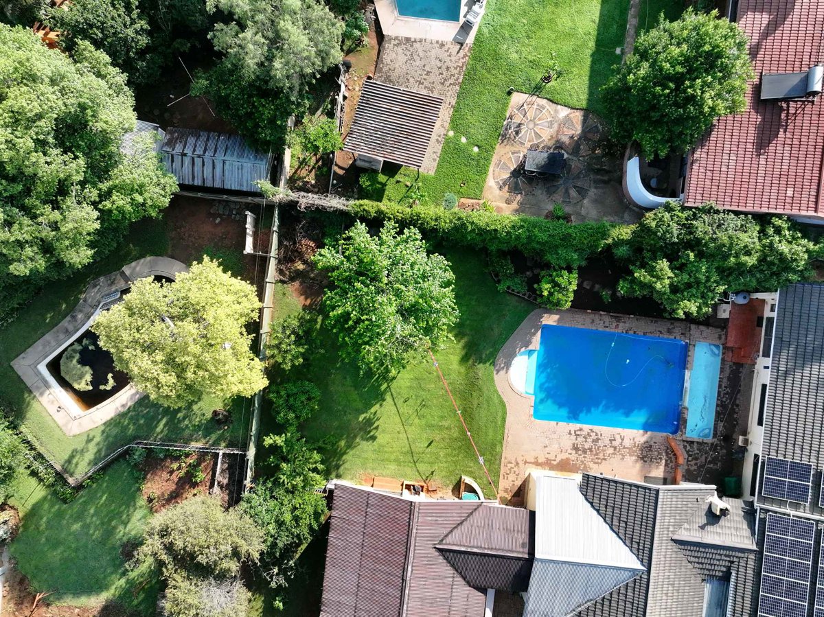 MoringaPlus Mpumalanga Business Association