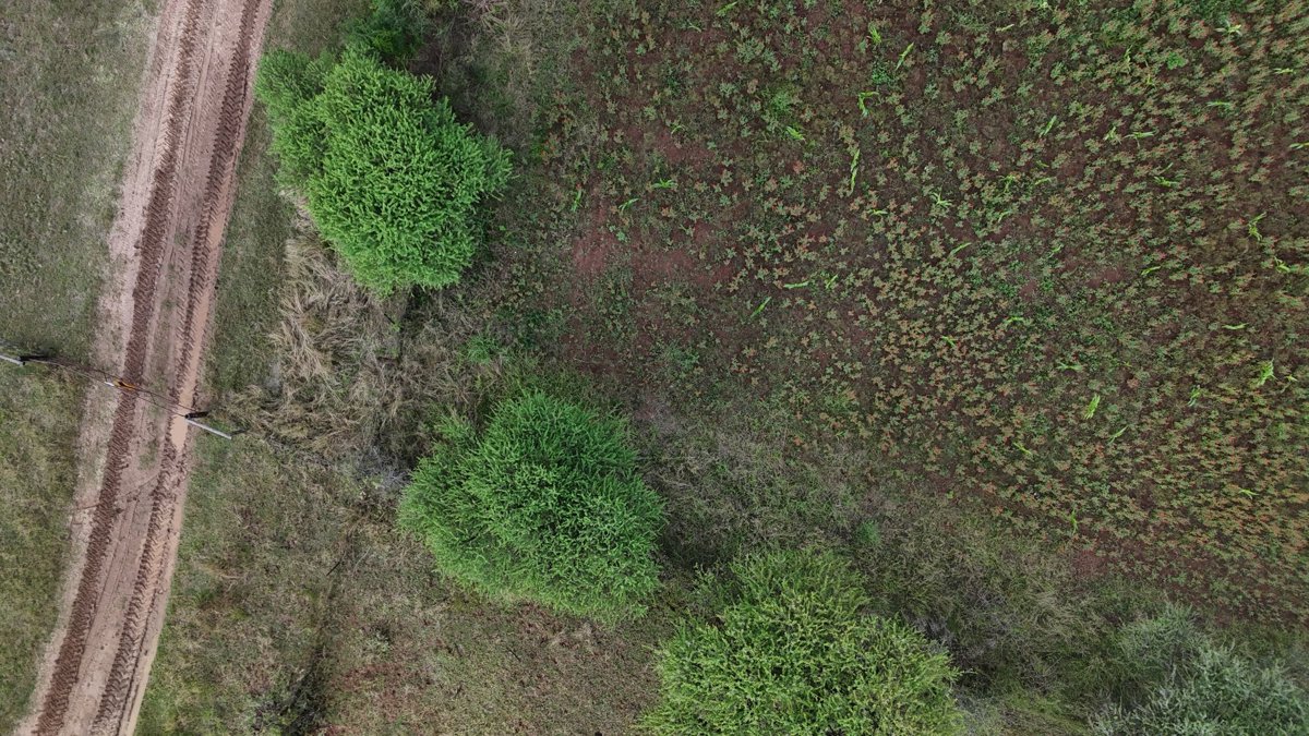 PTY LTD Mora Farm Project