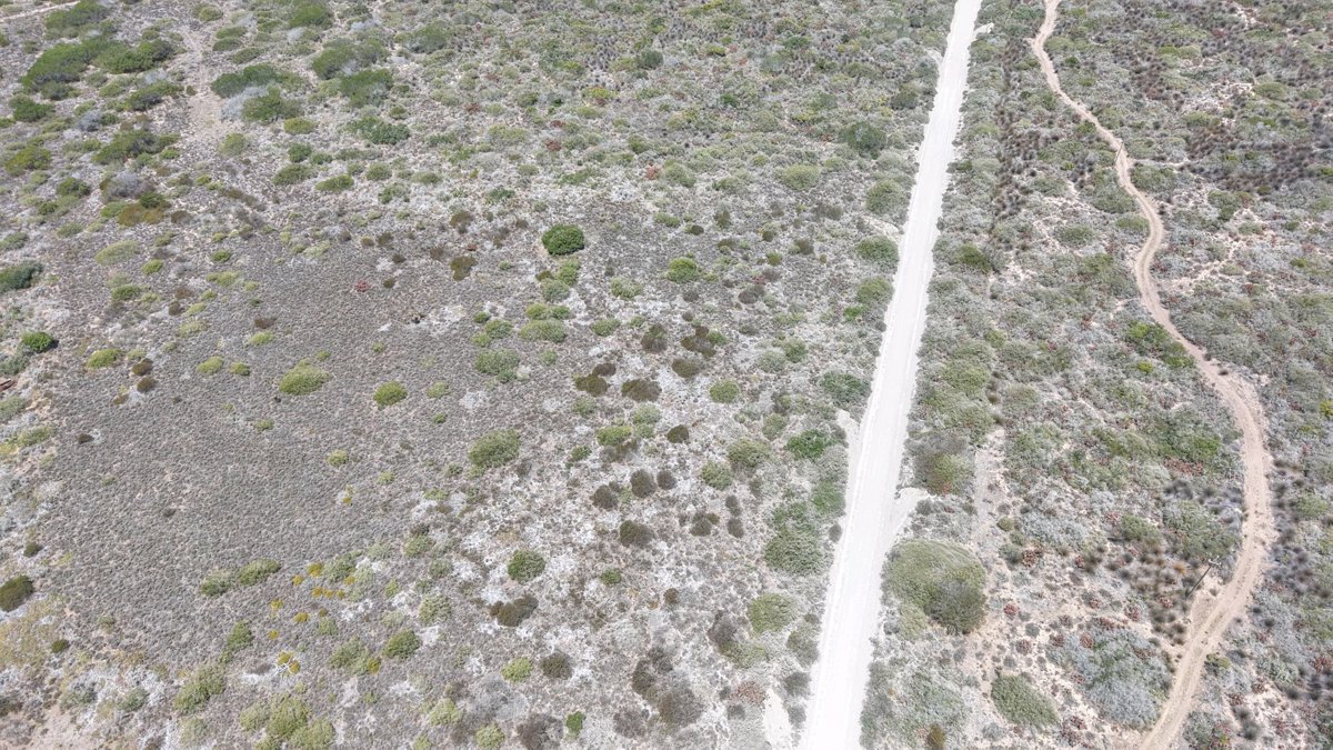 Kanon Private Nature Reserve Cannon Valley Estate